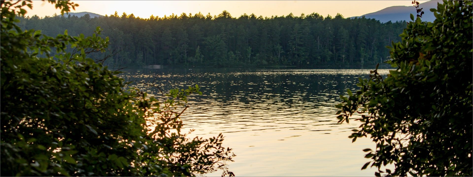 lake view through the trees